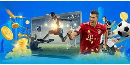 Các môn thể thao Vicclub phổ biến nhất